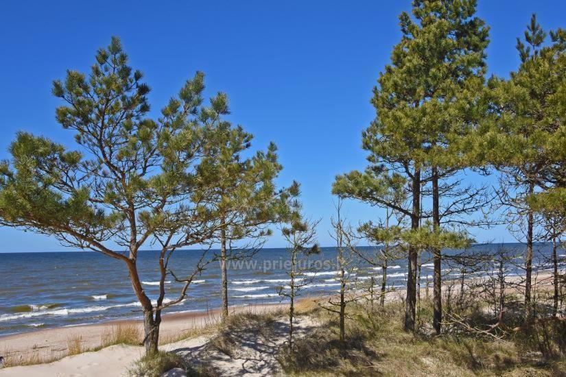Apartmán Optimistas Palanga Exteriér fotografie